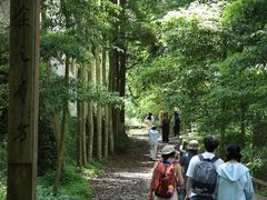 -凤栖山