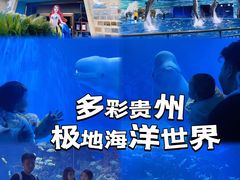 -多彩贵州城极地海洋世界