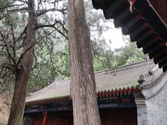 -仙居谷风景区
