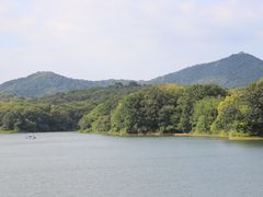 -佛手湖郊野公园