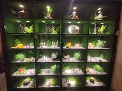-慢丽江·云南野生菌土鸡锅(西山店)