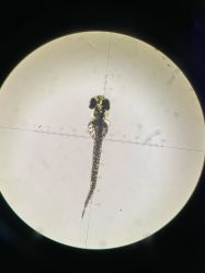 -Dr.林醫生产后修复·超级店(南京江宁同曦店)