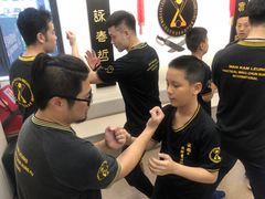 -温鉴良实用咏春拳