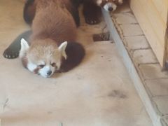 -武汉紫薇都市田园