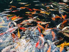 -龙达温泉生态城