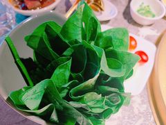 -麻路成都火锅(柏威年店)