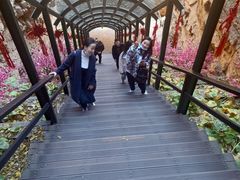 -京东石林峡风景区