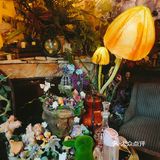 成都三圣乡拍照圣地 白泽餐厅