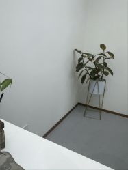-上海伊莱美医疗美容医院