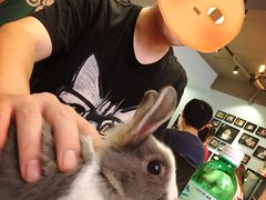 -藦茜花园宠物主题亲子互动体验馆(国顺东路店)