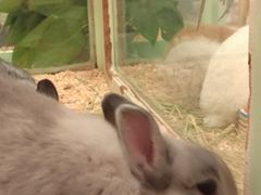 -龙猫仔乐园(惠福东路店)