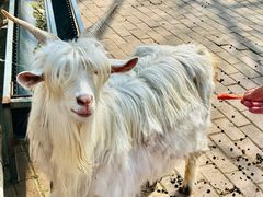 -水上乐园·欢乐世界