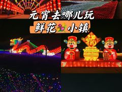 -南通鲜花小镇
