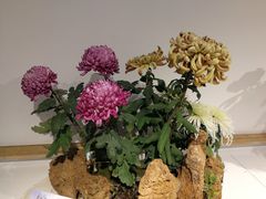 -汇龙潭