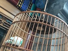 -北京古城老院厉晓麟精致菜