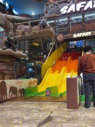-卡通尼·Safari非洲探索乐园·生日会(金桥国际商业广场店)