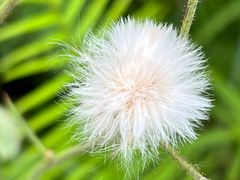 -桤木河湿地公园