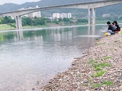 -朝阳正码头