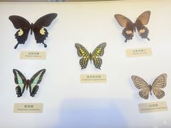 -中国湿地博物馆