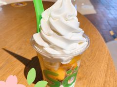 撒露-Salud撒露欧洲冻酸奶(蓝色港湾店)