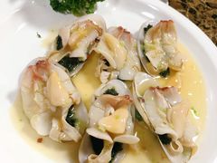 紫菜焗小象-宜兴隆家宴·私房菜(泰安华庭店)