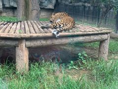 -石家庄市动物园