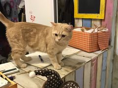 -小时光咖啡馆(开森度假森林店)