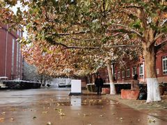 -北京市海淀外国语实验学校