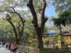 -普陀山风景名胜区-法雨禅寺