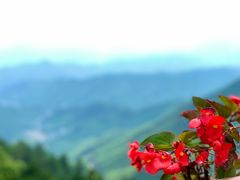 -莫干山风景区