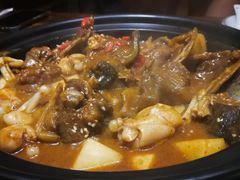 甲鱼牛蛙锅-洪湘记川湘·甲鱼馆(四海凯悦美食广场店)