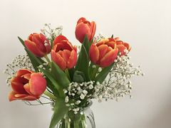 -东川新街市(东川市场店)