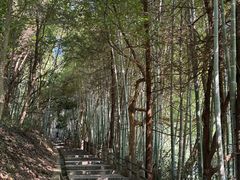 -敬亭山风景名胜区