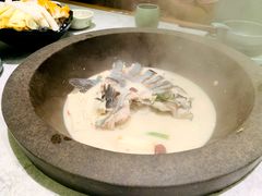 -鲜潭蒸汽石锅鱼(五道口购物中心店)
