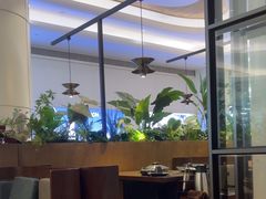 -同仁四季椰子鸡(宝安壹方城店)