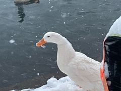 -水磨沟公园