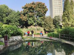 -成都市活水公园