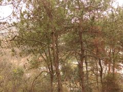 iphone_upload_pic-天目湖涵田半山温泉水乐园