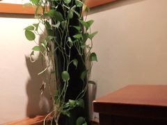 -孙三拨按摩拨筋(五一路店)