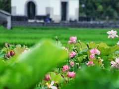 -和顺古镇