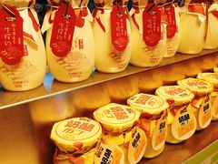 -莫愁村问君老酸奶