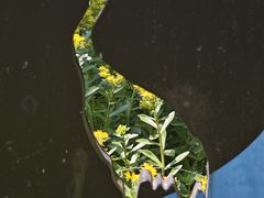 -野鸭湖国家湿地公园