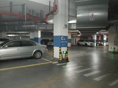 -奉贤区政务服务中心-地下停车场
