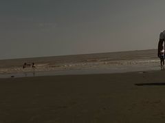 -南汇嘴观海公园