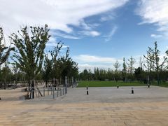 -天生桥景区