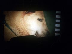 -汇金缪斯影城(八佰伴店)