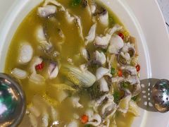 -青花椒花椒鱼(合生汇店)