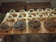 -陈李济中药博物馆