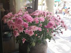 -Apollo·西班牙小酒馆(安福路店)