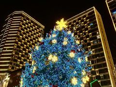 -沙洲路步行街(长安南路店)